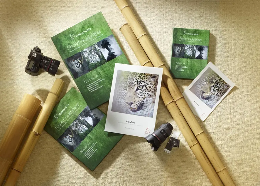 bamboo